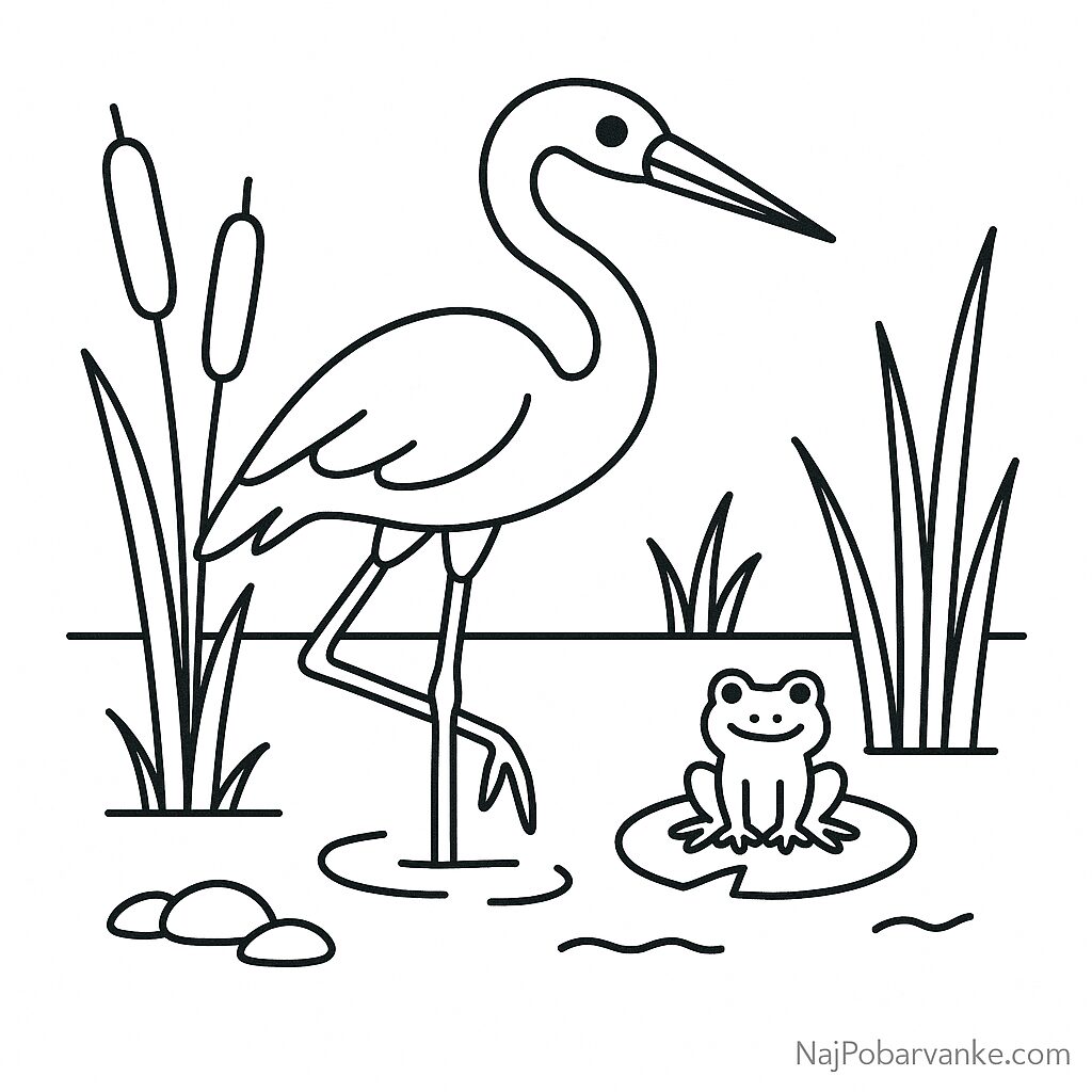 Pobarvanka Čaplja v močvirju