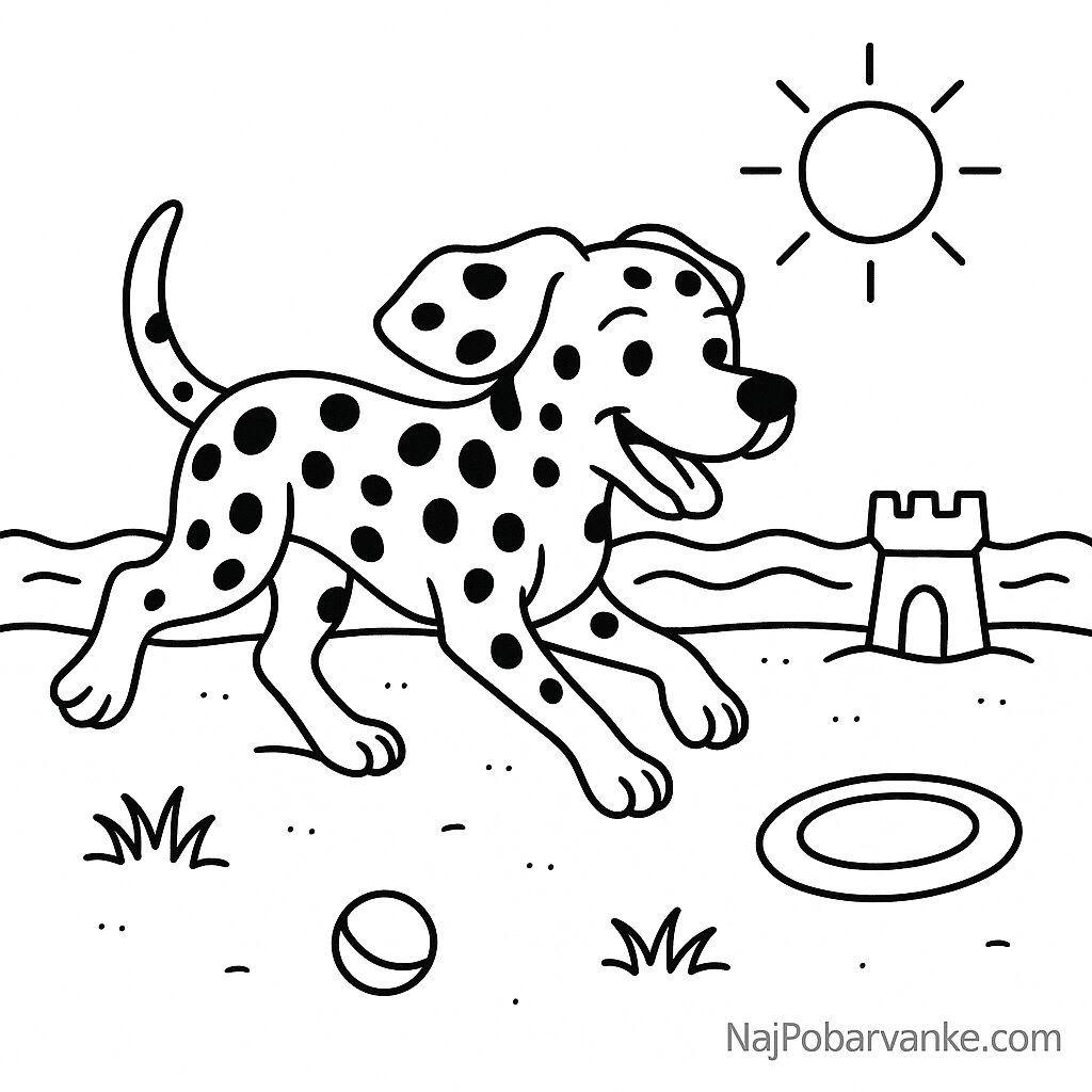 Pobarvanka Dalmatinec