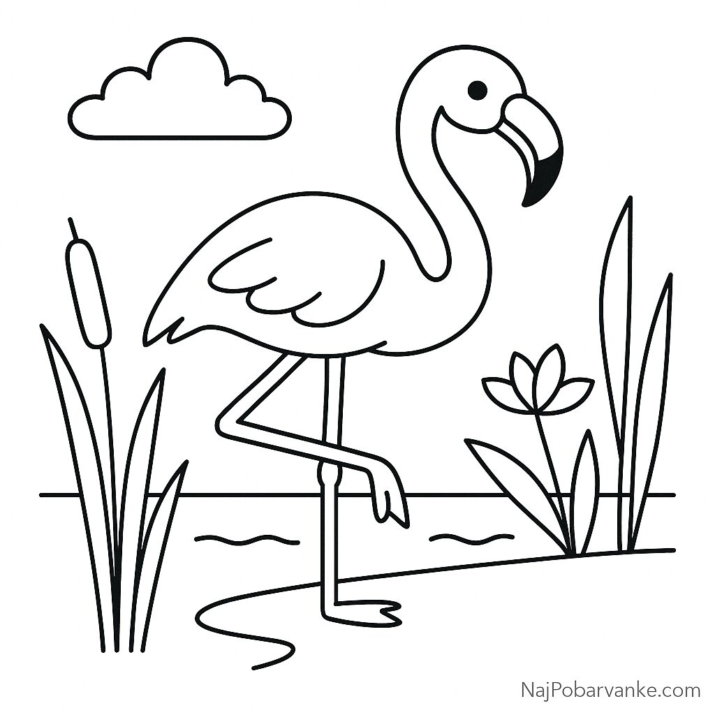 Pobarvanka Flamingo ob vodi