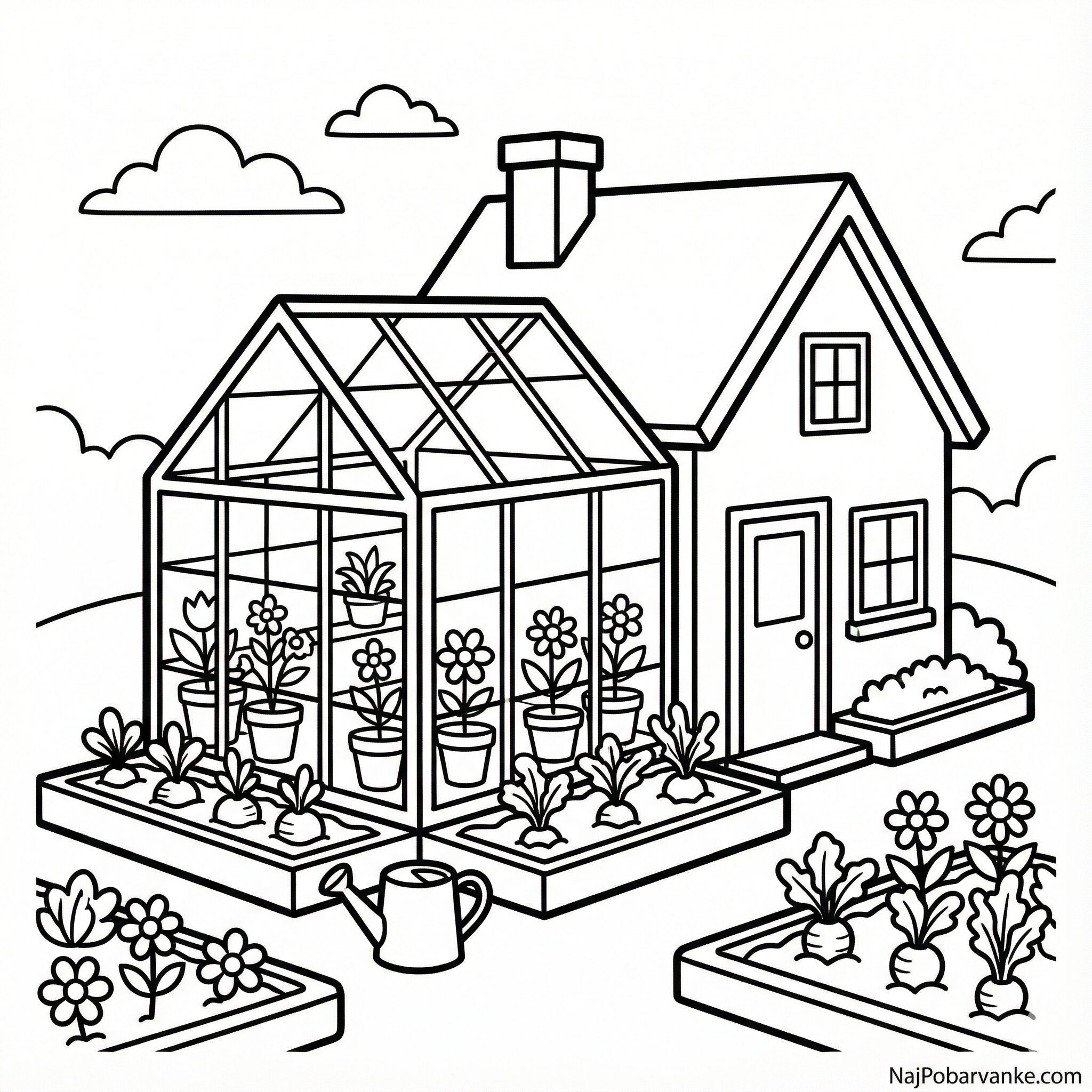Pobarvanka Hiša s steklenjakom