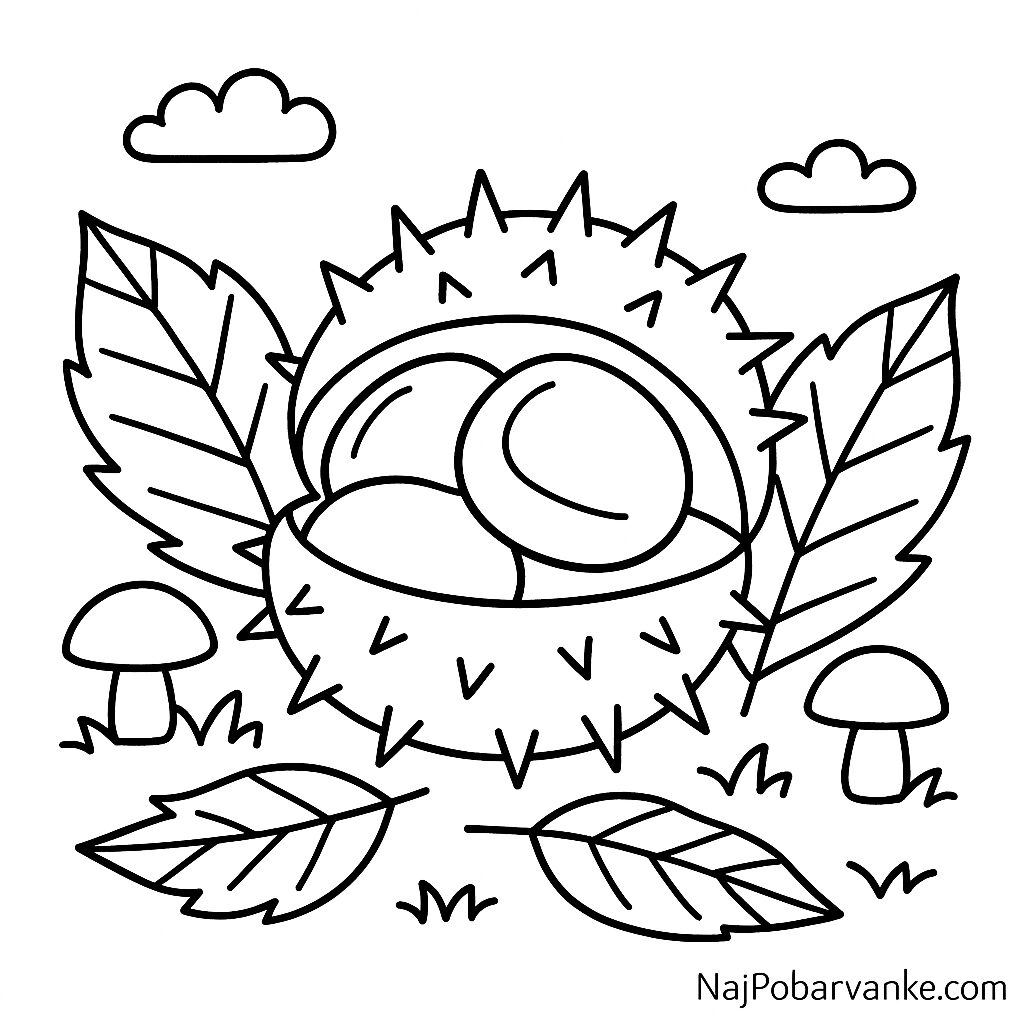 Pobarvanka Kostanj in bodičasta lupina