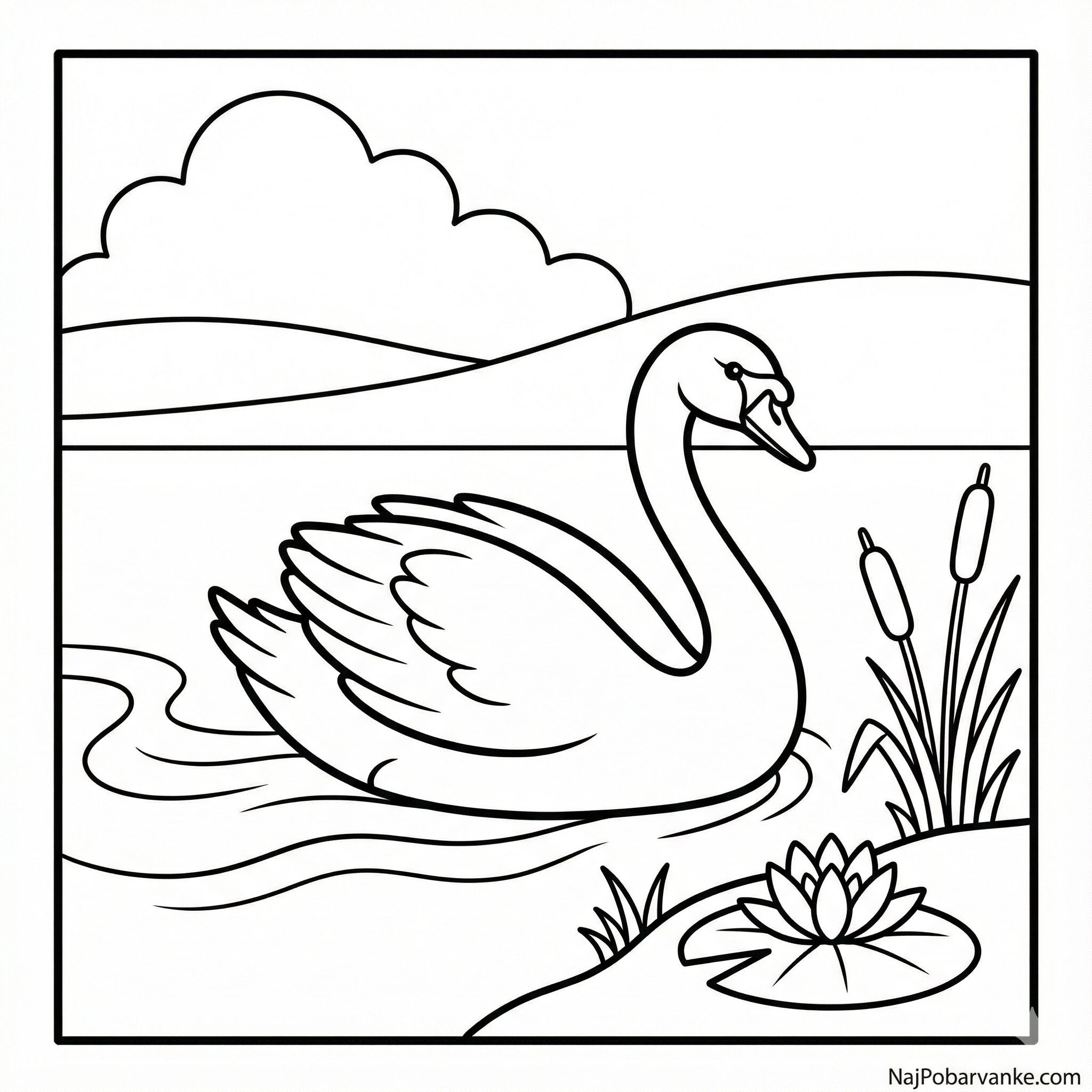 Pobarvanka Labod na jezeru