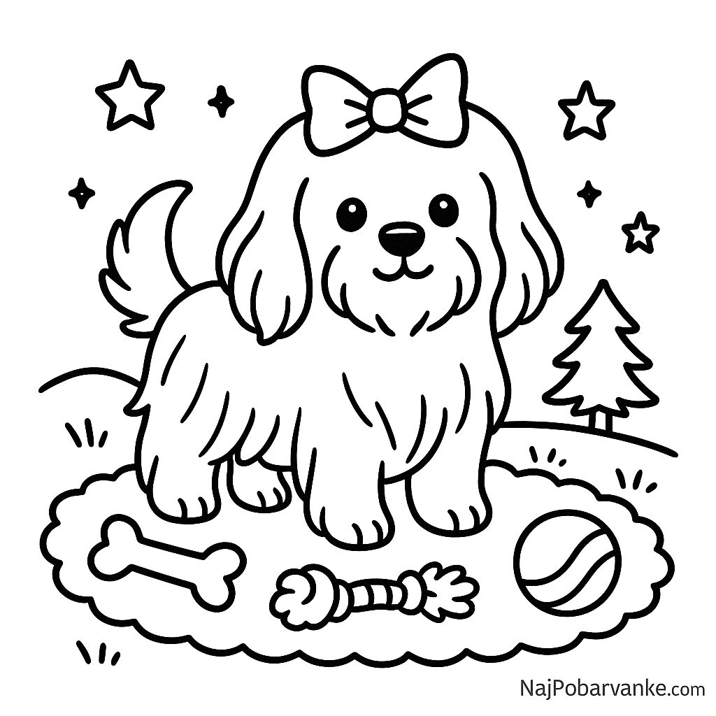 Pobarvanka Maltežan