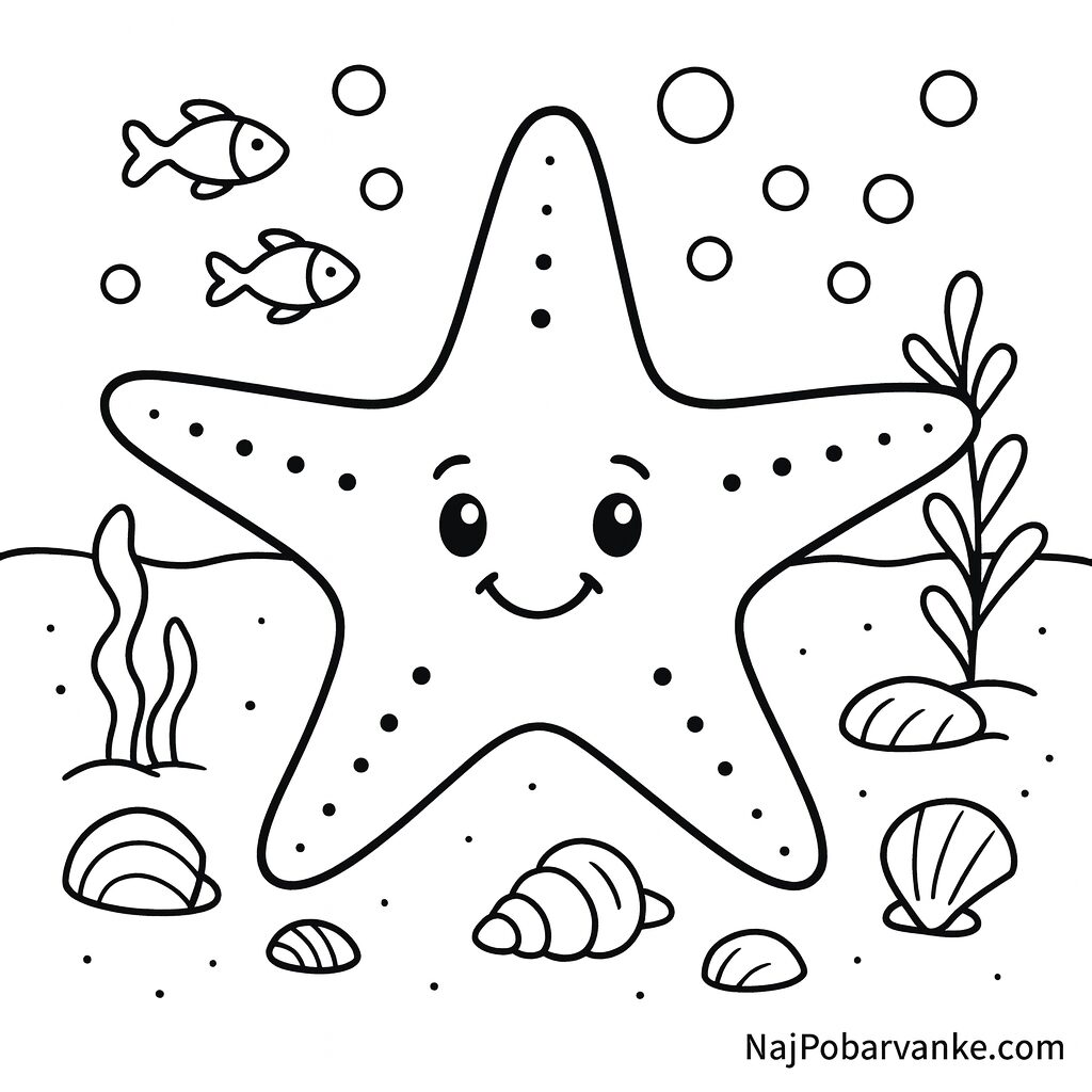 Morska zvezda na dnu