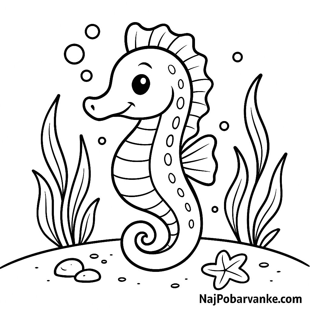 Pobarvanka morski konjiček