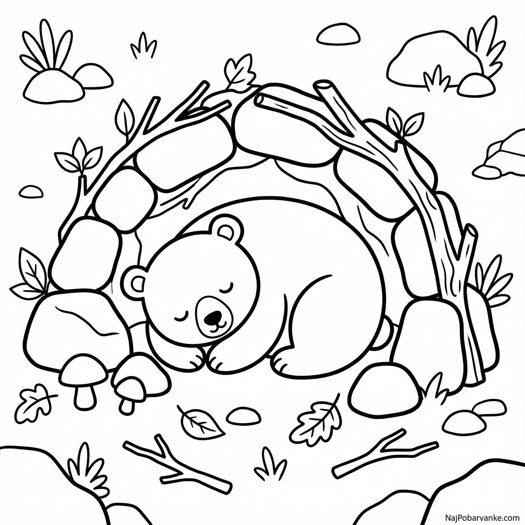 Pobarvanka Speči medved v brlogu