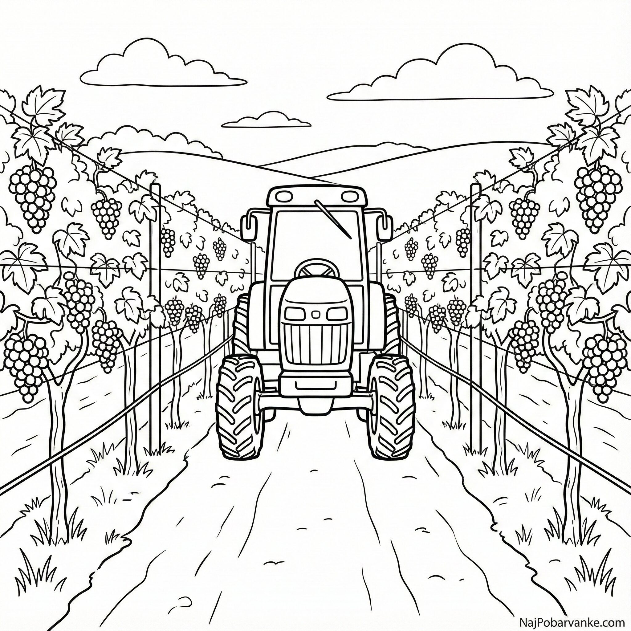 Pobarvanka Traktor v vinogradu