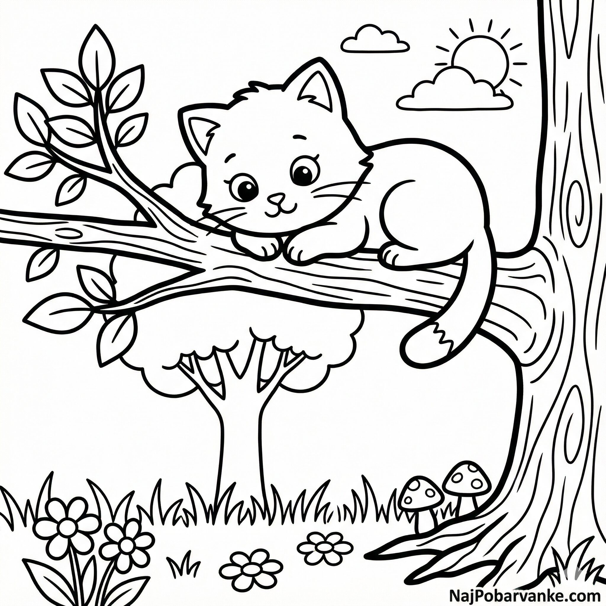 Pobarvanka Maček na drevesni veji