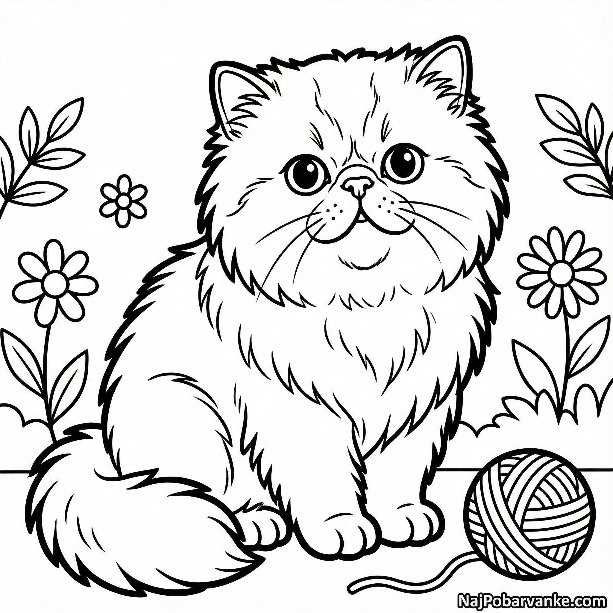 Pobarvanka Siamska mačka